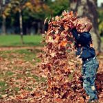 Fall Maintenance | Sell Your House for Cash