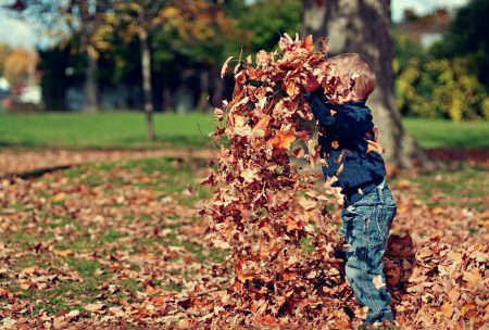 Fall Maintenance | Sell Your House for Cash