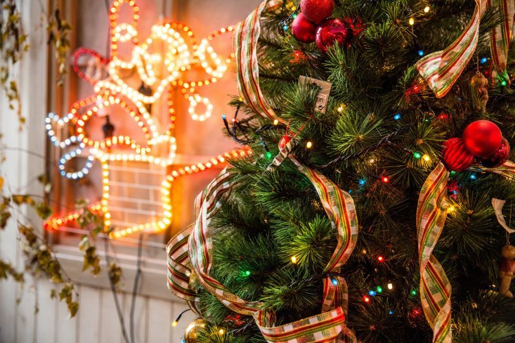 Eco-Friendly Christmas | sell your home in 24 hours