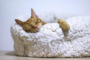 Cozy home | cash house buyers Fort Worth
