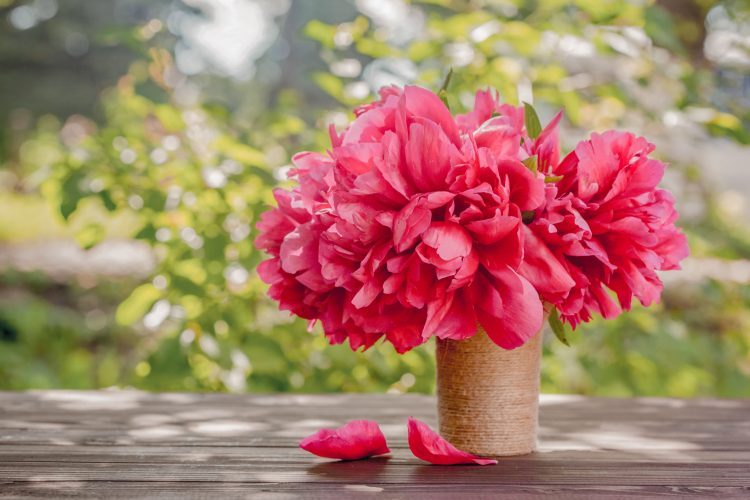 Home design tips for spring | fort worth cash for houses