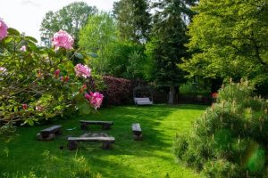 Gardening mistakes | Gardening Tips | Cash house buyers Dallas
